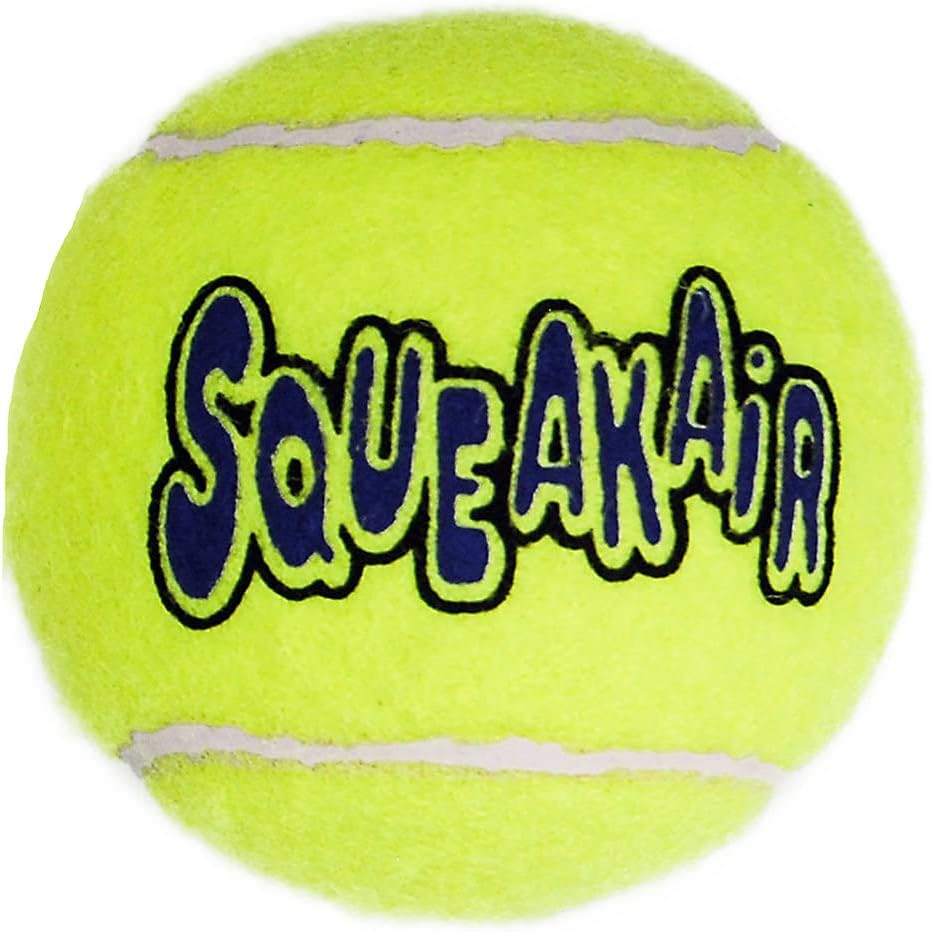 KONG Fetch Toy 1